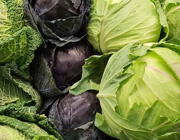 Как выбрать самую свежую и хрустящую капусту: советы эксперта Как выбрать самую свежую и хрустящую капусту: советы эксперта