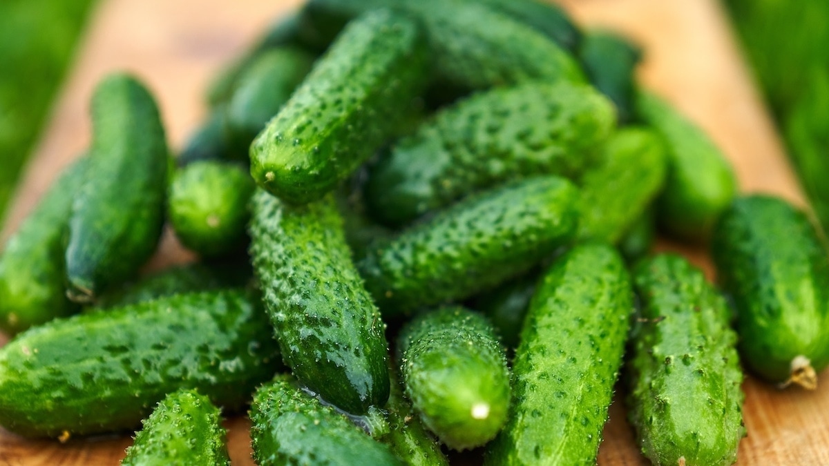 Как убрать горечь из огурцов: 3 быстрых, но всегда работающих способа Как убрать горечь из огурцов: 3 быстрых, но всегда работающих способа