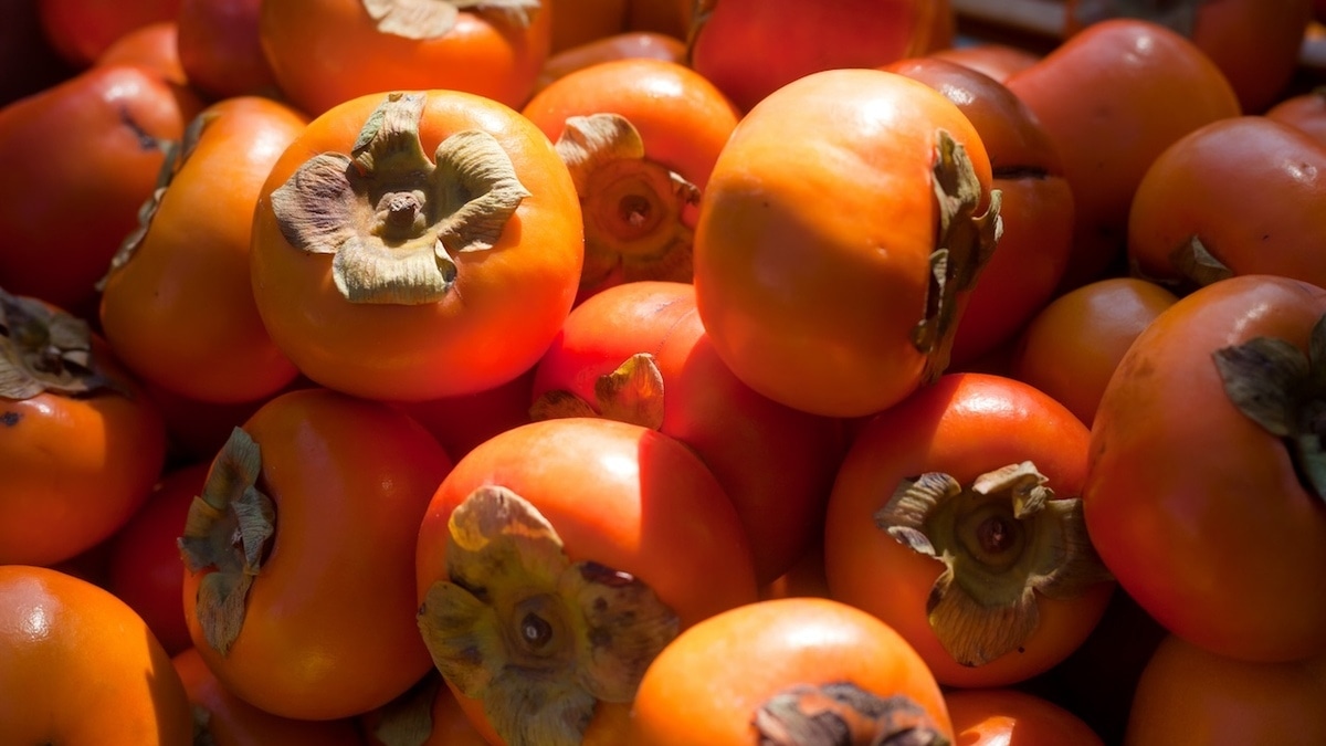 Врач рассказала, почему нельзя есть вяжущую хурму — в чем проблема?