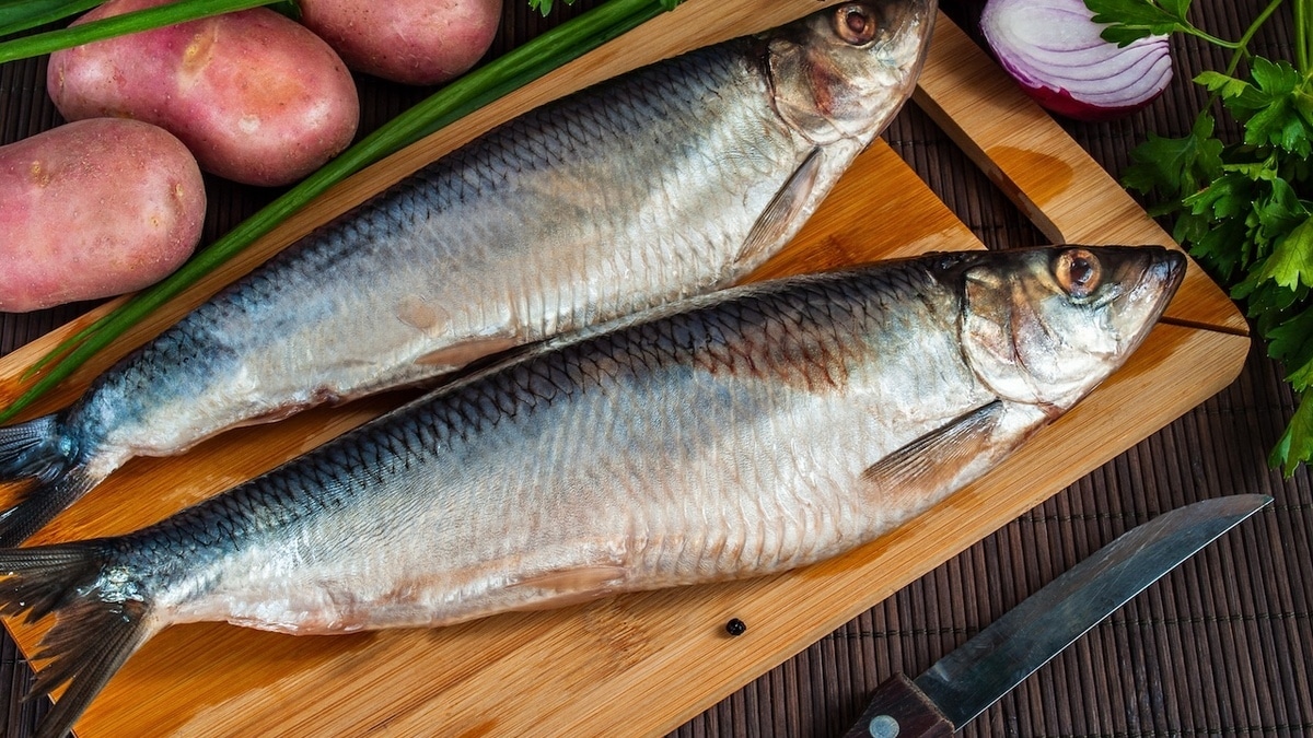 Диетолог Ковальков предупредил, почему нельзя покупать селедку из «белого ведра»