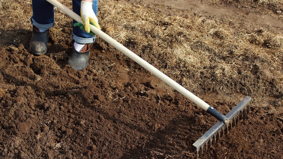 Как восстановить разрушенные ливнями грядки — подробная инструкция от опытных садоводов