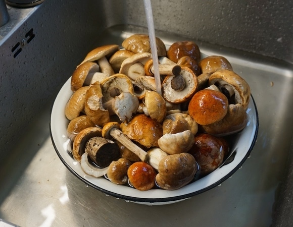 Помыть недостаточно: как убрать радиоактивные вещества из грибов?