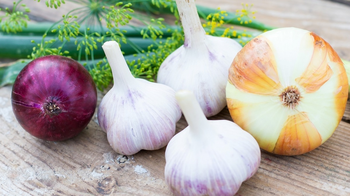 Вкусно и недорого: как приготовить изысканный гарнир только из лука и чеснока