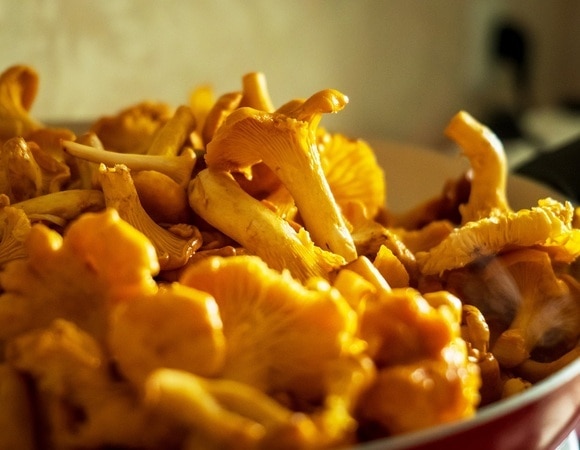 Названы причины горечи у лисичек и белых грибов — безопасно ли есть их? Названы причины горечи у лисичек и белых грибов — безопасно ли есть их?