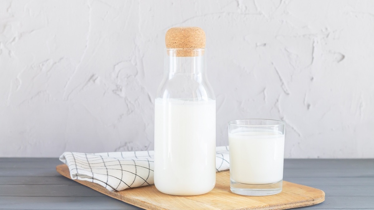 Названы основные преимущества козьего молока для здоровья