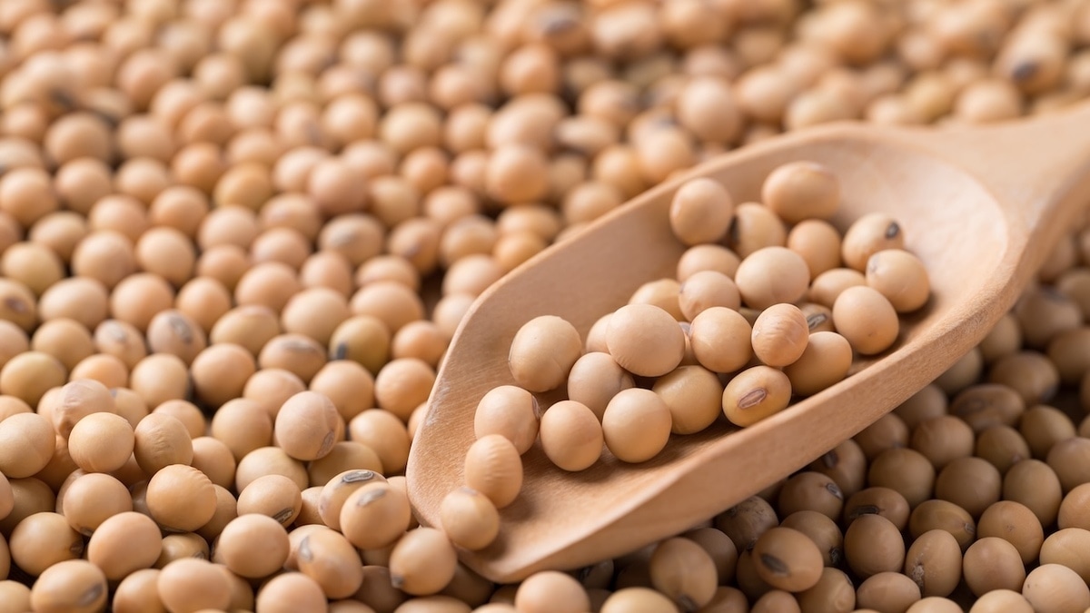  Диетолог рассказала о самом «ненужном» белке: где он содержится?