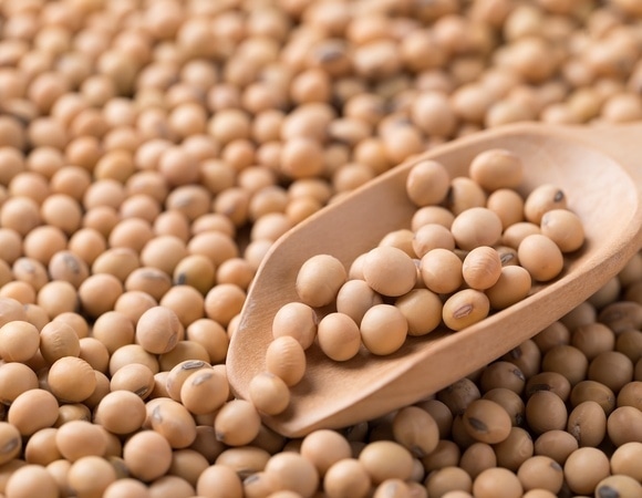  Диетолог рассказала о самом «ненужном» белке: где он содержится?