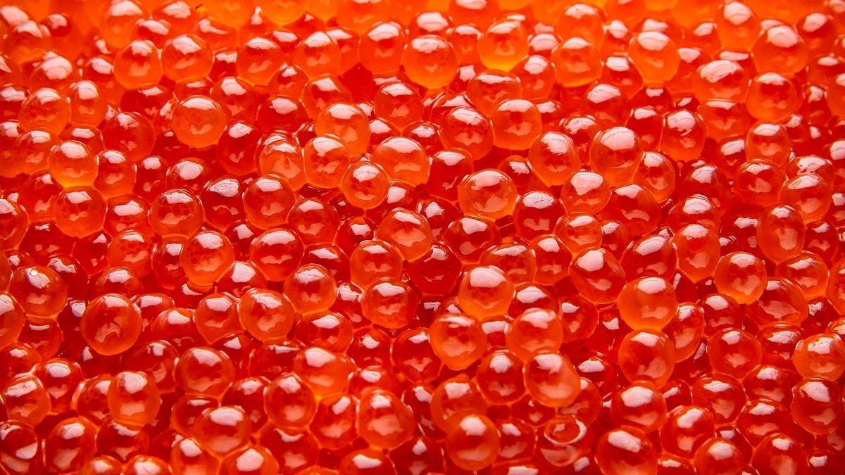 Подделка по цене деликатеса: названы 4 признака некачественной красной икры