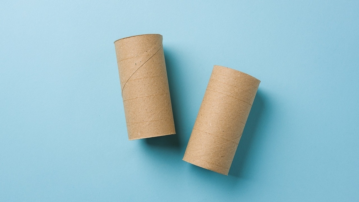 Экономия и смекалка: почему опытные дачники не выбрасывают втулки от туалетной бумаги