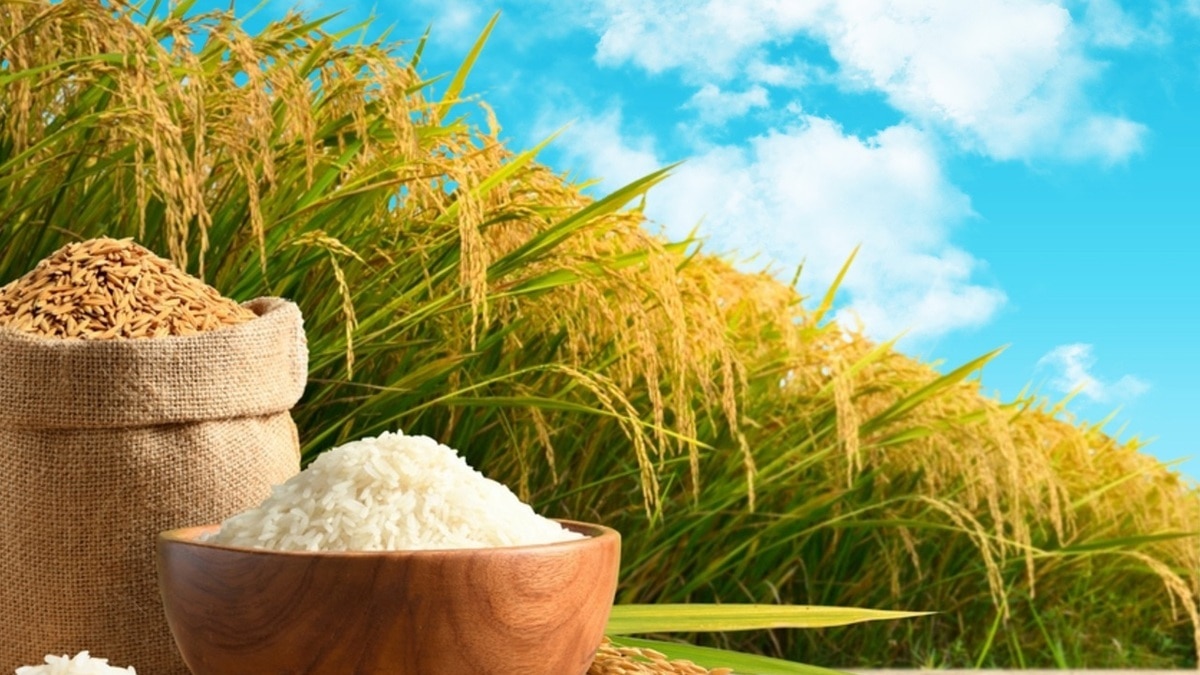 Этот рис поможет удержать в норме сахар в крови, уверен доктор Мясников