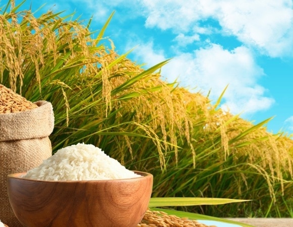 Этот рис поможет удержать в норме сахар в крови, уверен доктор Мясников Этот рис поможет удержать в норме сахар в крови, уверен доктор Мясников