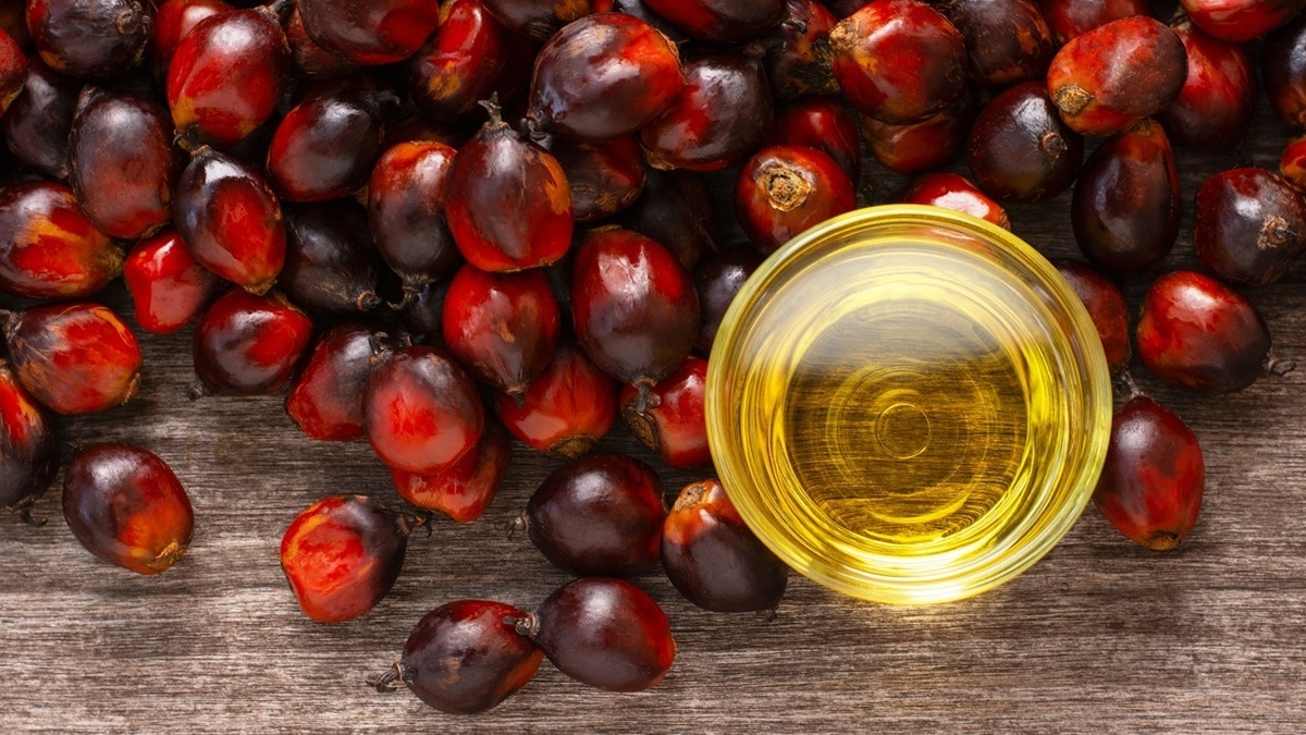 Стало известно, какое масло может навредить организму даже в очищенном виде 