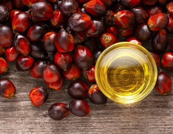 Стало известно, какое масло может навредить организму даже в очищенном виде Стало известно, какое масло может навредить организму даже в очищенном виде