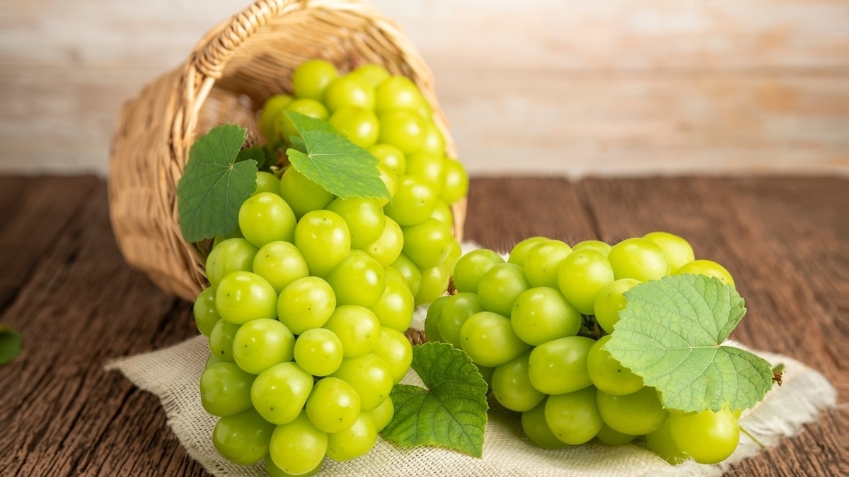 Стоит ли пробовать? Что из себя представляет «корейский виноград», за которым охотятся все блогеры