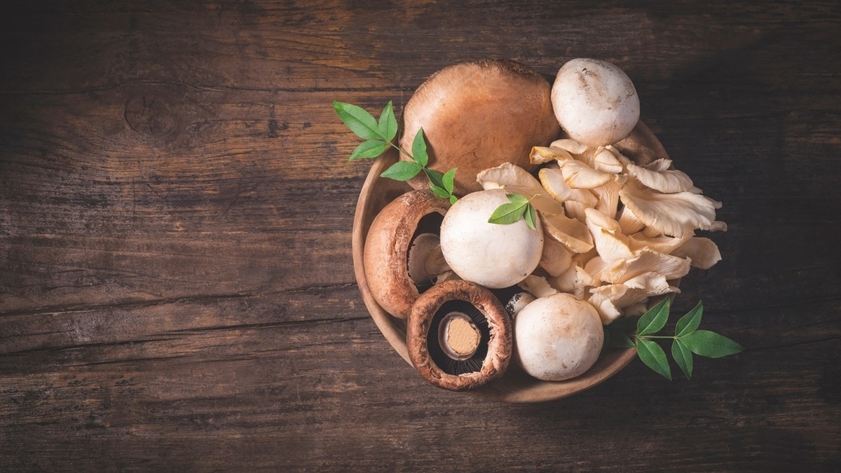 Не только ядовитые: доктор Мясников запретил есть грибы в принципе — и вот почему Не только ядовитые: доктор Мясников запретил есть грибы в принципе — и вот почему