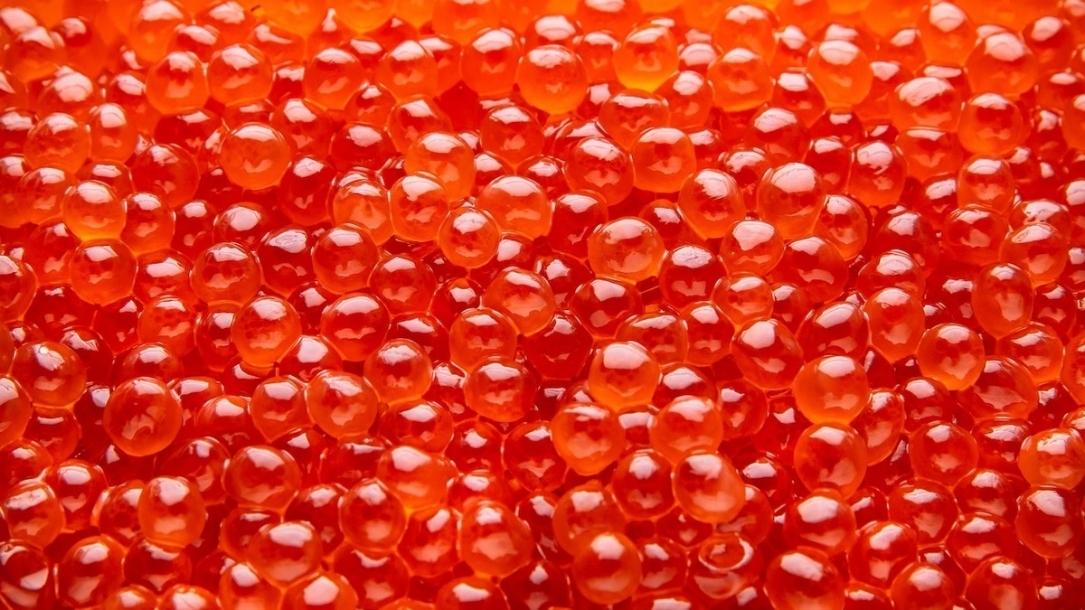 Эксперты объяснили, как не спутать настоящую икру с подделкой: есть 2 простых теста Эксперты объяснили, как не спутать настоящую икру с подделкой: есть 2 простых теста