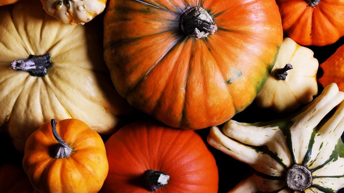 Что приготовить из тыквы? Суп по-азиатски — искушение для гурманов