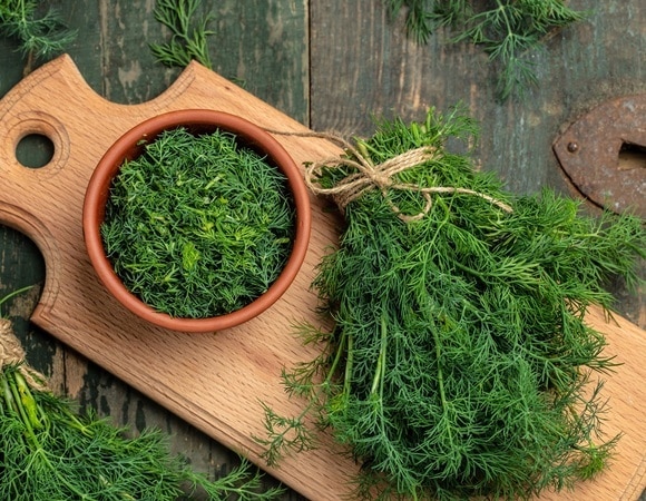 Укроп поможет поджелудочной — диетолог Королева поделилась рецептом Укроп поможет поджелудочной — диетолог Королева поделилась рецептом