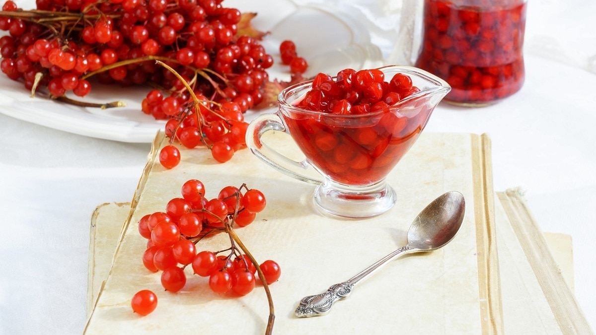 Калина на зиму — как заготовить полезные ягоды и лакомиться ими полгода Калина на зиму — как заготовить полезные ягоды и лакомиться ими полгода