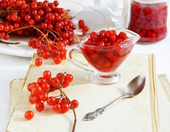 Калина на зиму — как заготовить полезные ягоды и лакомиться ими полгода Калина на зиму — как заготовить полезные ягоды и лакомиться ими полгода