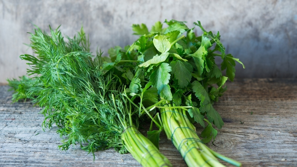 Можно ли есть вялую зелень? Вот когда она становится опасной для здоровья 