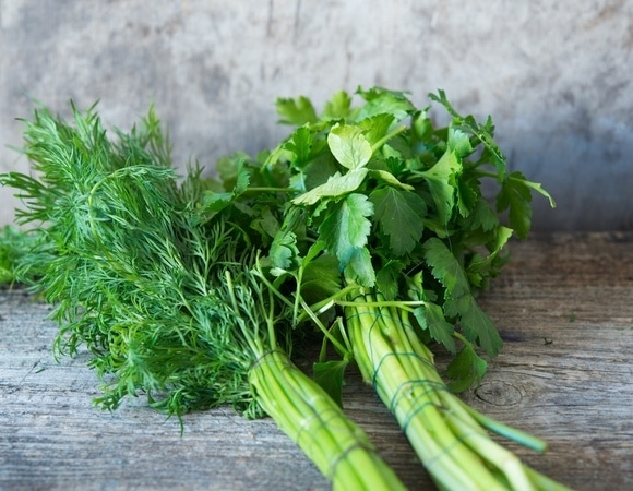 Можно ли есть вялую зелень? Вот когда она становится опасной для здоровья Можно ли есть вялую зелень? Вот когда она становится опасной для здоровья