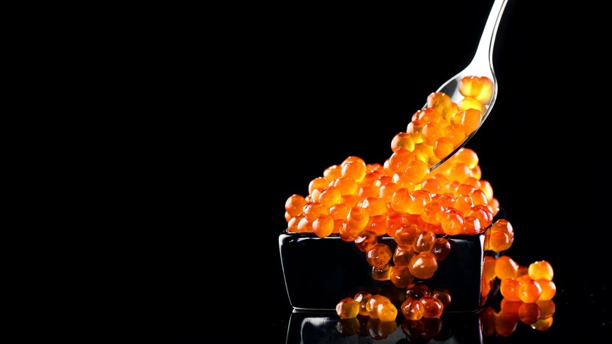 Засолка икры форели — уже через три часа деликатес можно подавать к столу 