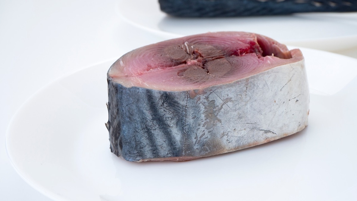 Как вкусно засолить скумбрию — сухой способ с использованием банки сократит время до 2 часов