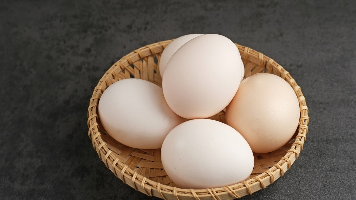 Как определить свежесть яиц в магазине — теледоктор Мясников дал дельный совет