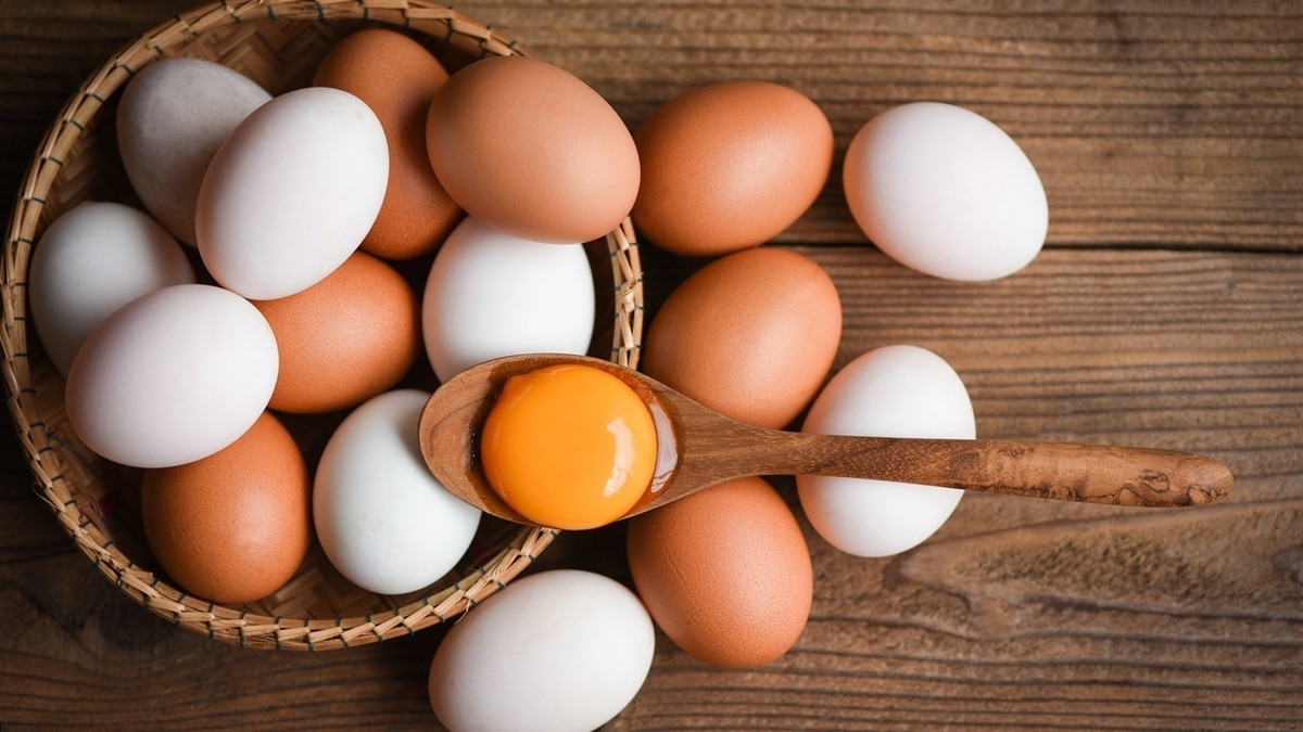 Как в два счета проверить свежесть куриных яиц — точный метод определения срока годности