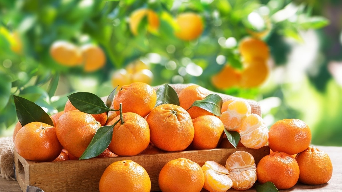 Почему не стоит выбрасывать кожуру от мандаринов — польза для всего организма