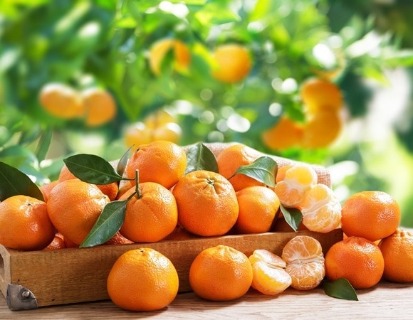 Почему не стоит выбрасывать кожуру от мандаринов — польза для всего организма