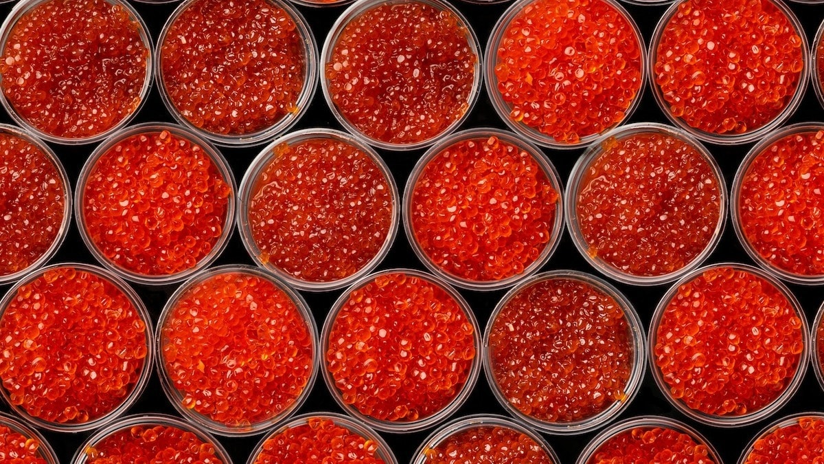 Хороша и по цене, и по качеству: какой вид красной икры сможет по-настоящему порадовать 