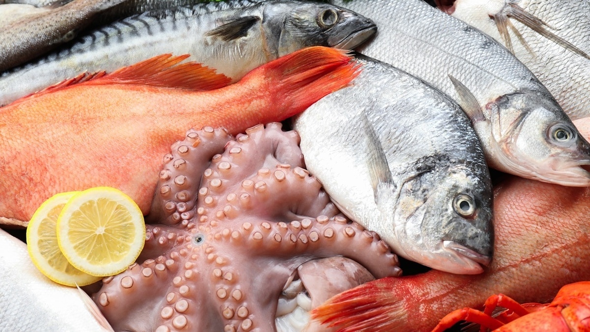Морепродукты с берегов Краснодарского края стали небезопасны