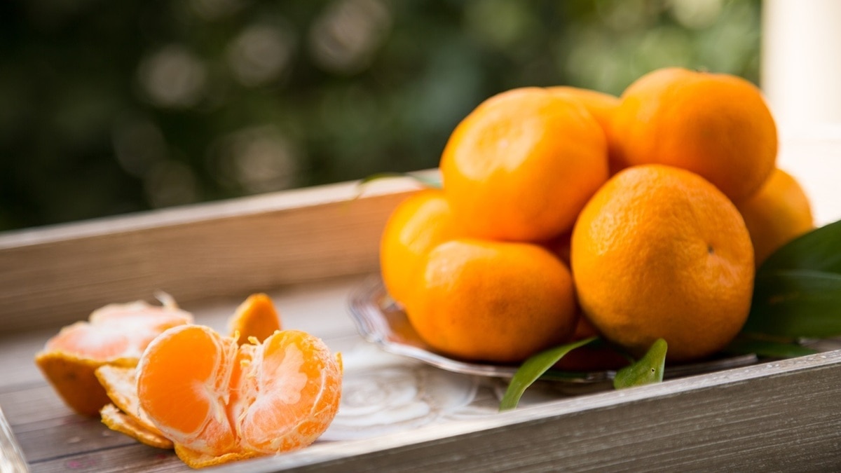 Нельзя хранить в пакете: что еще вы не знали о мандаринах