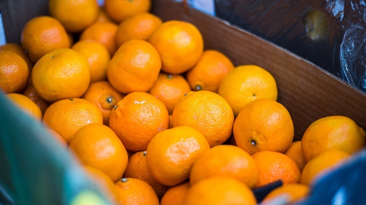 Можно ли есть блестящие и липкие мандарины? Ответ знает токсиколог