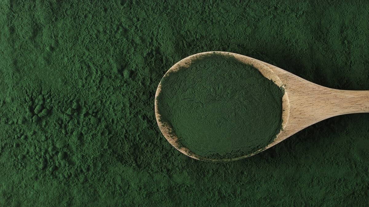 Диетолог Королева назвала уникальный по составу продукт — с ним не сравнится даже мясо