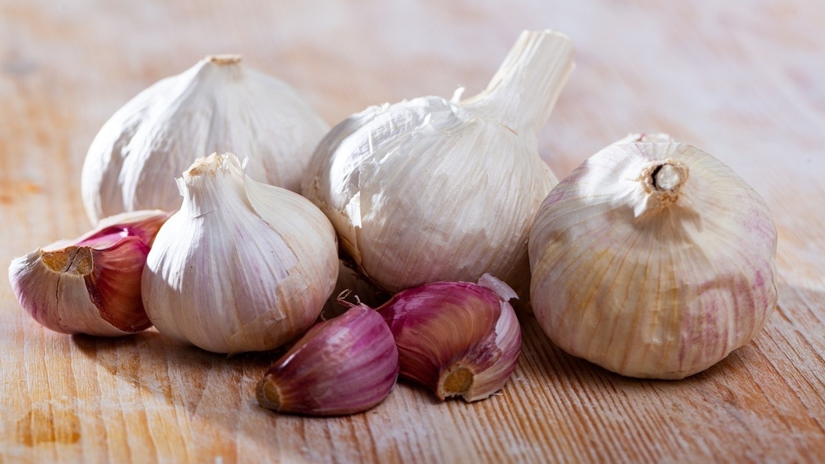 Можно ли лечить ОРВИ чесноком? Доктор Мясников дал четкий ответ Можно ли лечить ОРВИ чесноком? Доктор Мясников дал четкий ответ