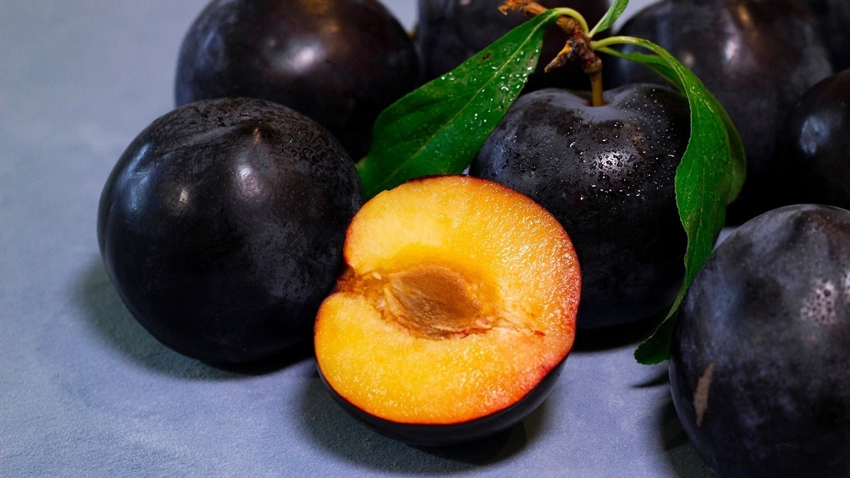 Слива или чернослив? Какой фрукт полезнее для организма, объяснил диетолог Гинзбург