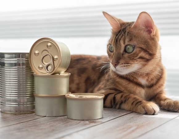 Доктор Мясников сравнил домашние и магазинные консервы — и сказал, какие опаснее Доктор Мясников сравнил домашние и магазинные консервы — и сказал, какие опаснее