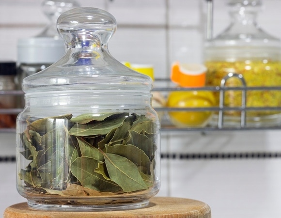 Что будет, если добавить в кофе лавровый лист? Это не шутка, а новый способ «оздоровить» напиток