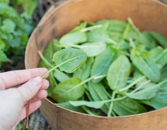 Береги сустав смолоду: эти продукты в рационе постепенно отбирают радость движения