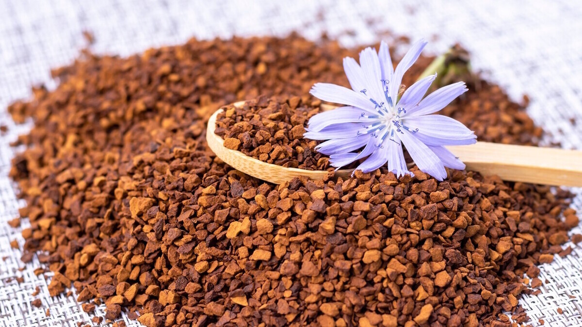 В отличие от чая: цикорий обладает эффектом, о котором мечтают все худеющие В отличие от чая: цикорий обладает эффектом, о котором мечтают все худеющие