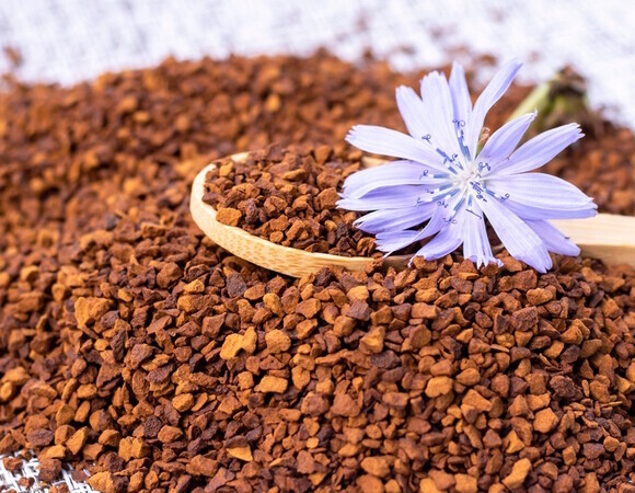 В отличие от чая: цикорий обладает эффектом, о котором мечтают все худеющие  