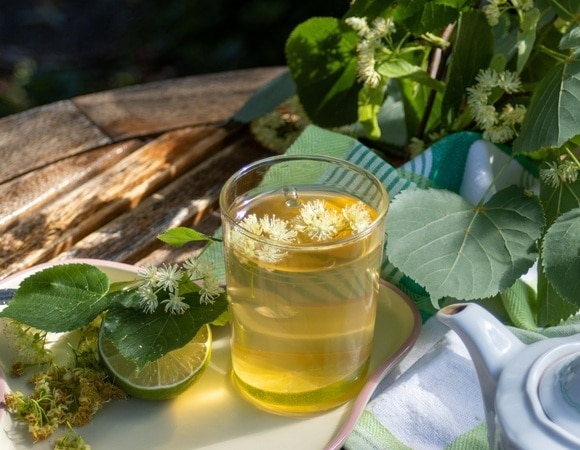 Доктор Мясников назвал уникальный чай — спасает от тромбоза и защищает сердце Доктор Мясников назвал уникальный чай — спасает от тромбоза и защищает сердце