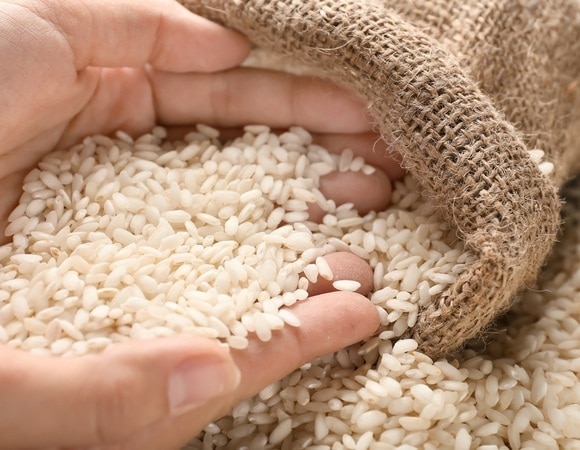 «Чистый крахмал и никакой пользы»: доктор Мясников не рекомендует эти популярные каши