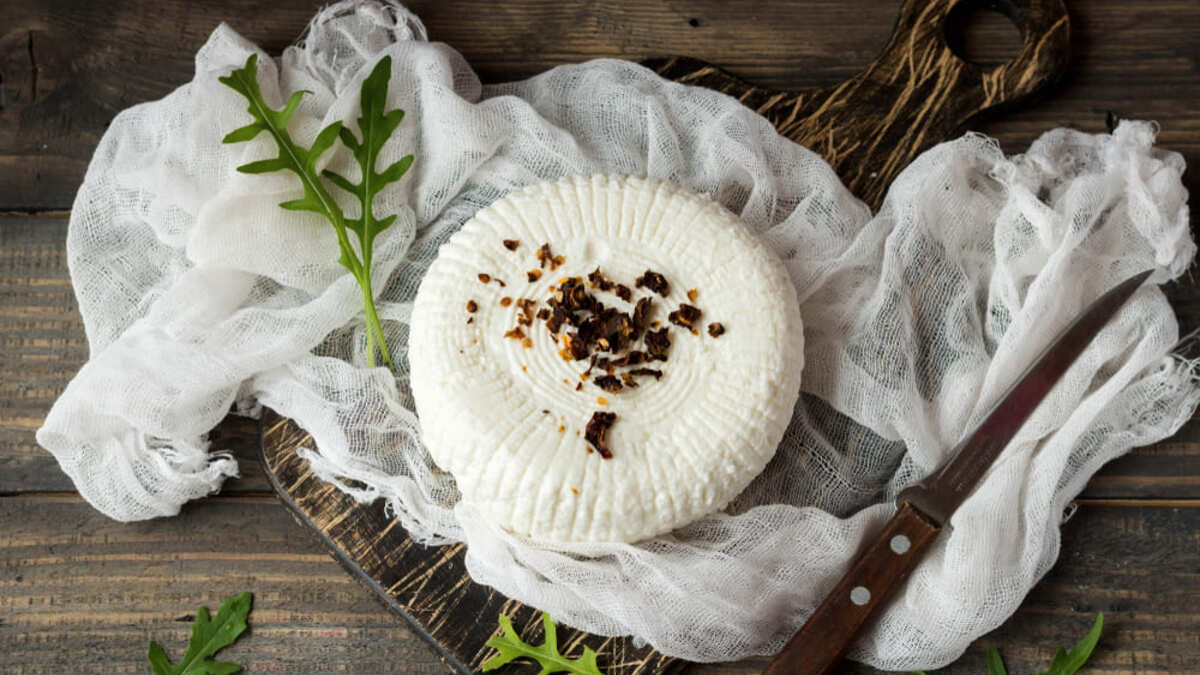 Простые блюда из адыгейского сыра — находка для вашего стола, когда времени совсем в обрез