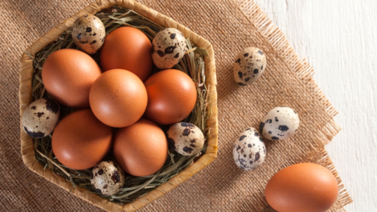 Яйца оказались гораздо полезнее, чем о них привыкли думать — однако существенный нюанс все же имеется Яйца оказались гораздо полезнее, чем о них привыкли думать — однако существенный нюанс все же имеется