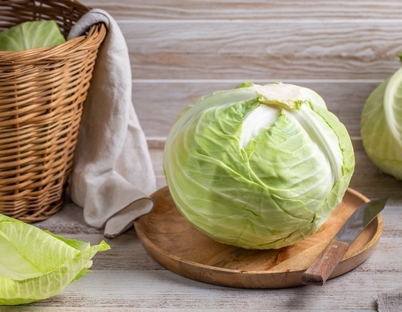 Будет мешать выздоровлению: стало известно, кому нельзя есть свежую капусту Будет мешать выздоровлению: стало известно, кому нельзя есть свежую капусту