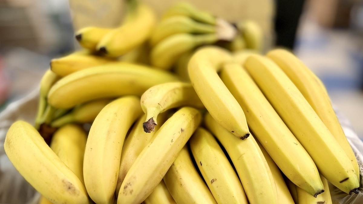 Доктор Мясников рассказал, кому обязательно нужно есть бананы — сплошная польза для организма